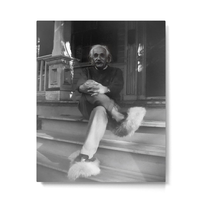 Funny Einstein in Fuzzy Slippers Classic Black and White Satirical Photography - Photographs Metal Print Gallery Image 1
