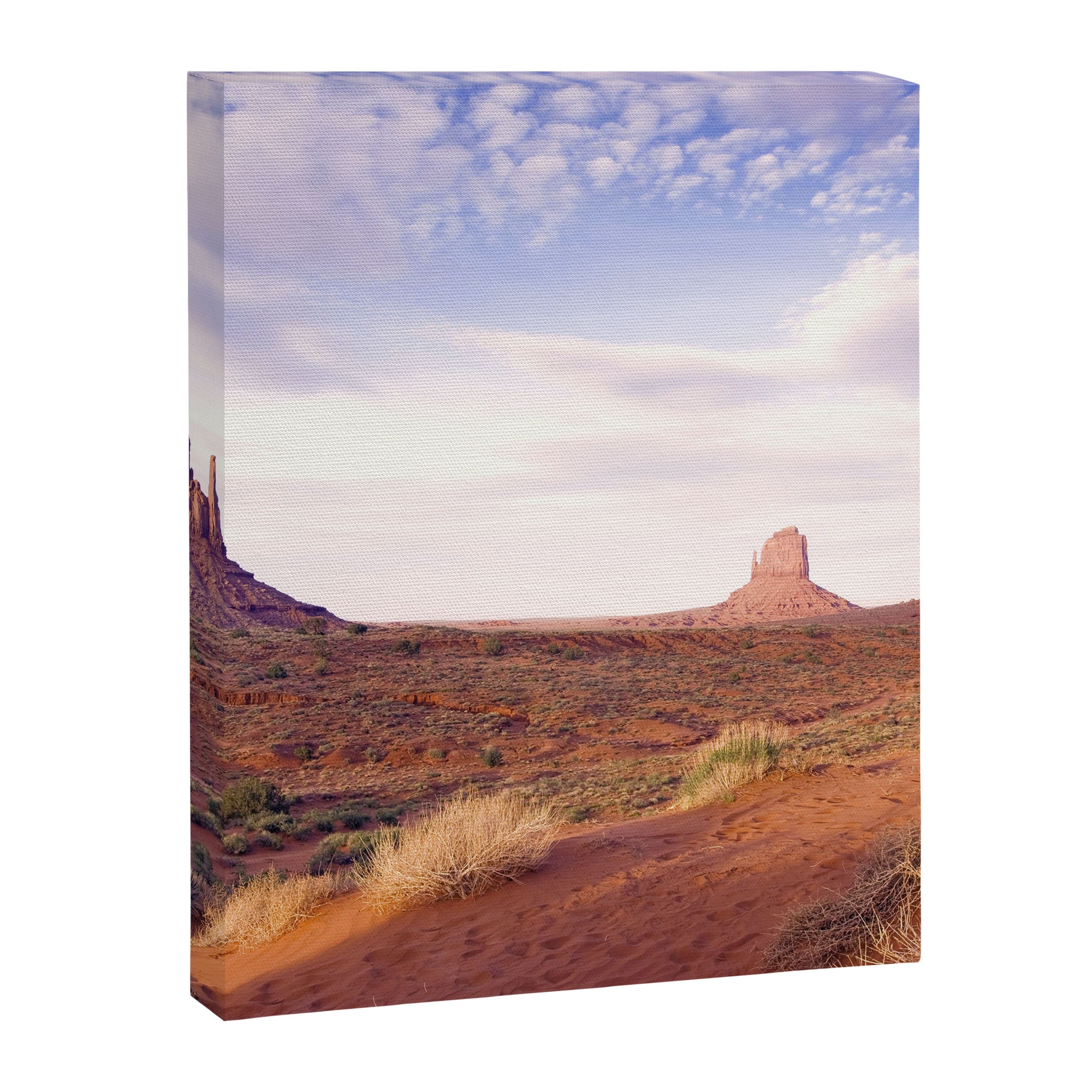 Monument Valley View, Arizona, color photographic National Park art print Canvas Print Gallery Image 8