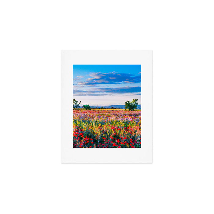 Red poppy field floral blossom landscape color photograph Art Print Gallery Image 1