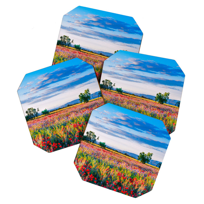 Red poppy field floral blossom landscape color photograph Coaster Gallery Image 1