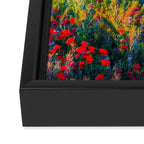 Red poppy field floral blossom landscape color photograph Framed Canvas Print Gallery Image 3