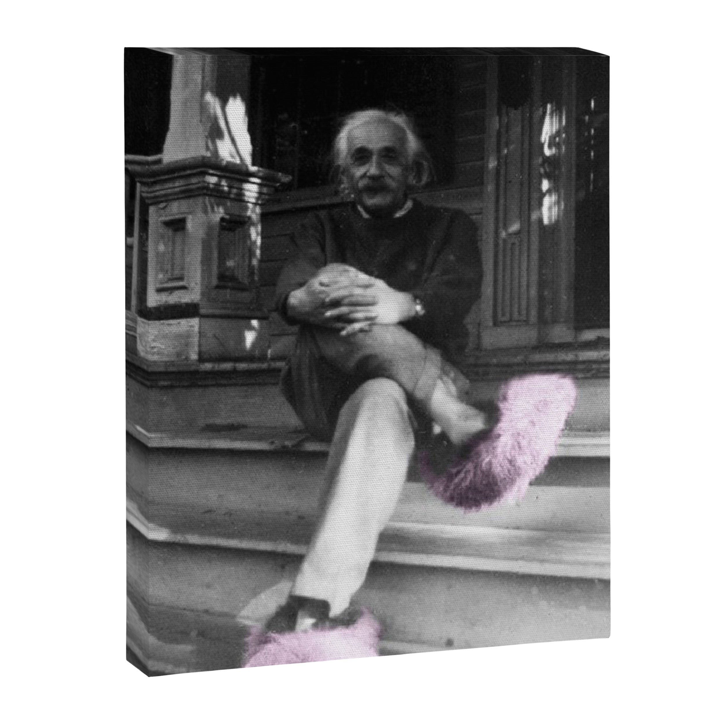 Satirical Einstein in Fuzzy Pink Slippers Classic E = mc² Black and White Satirical Photography  Canvas Print Gallery Image 8