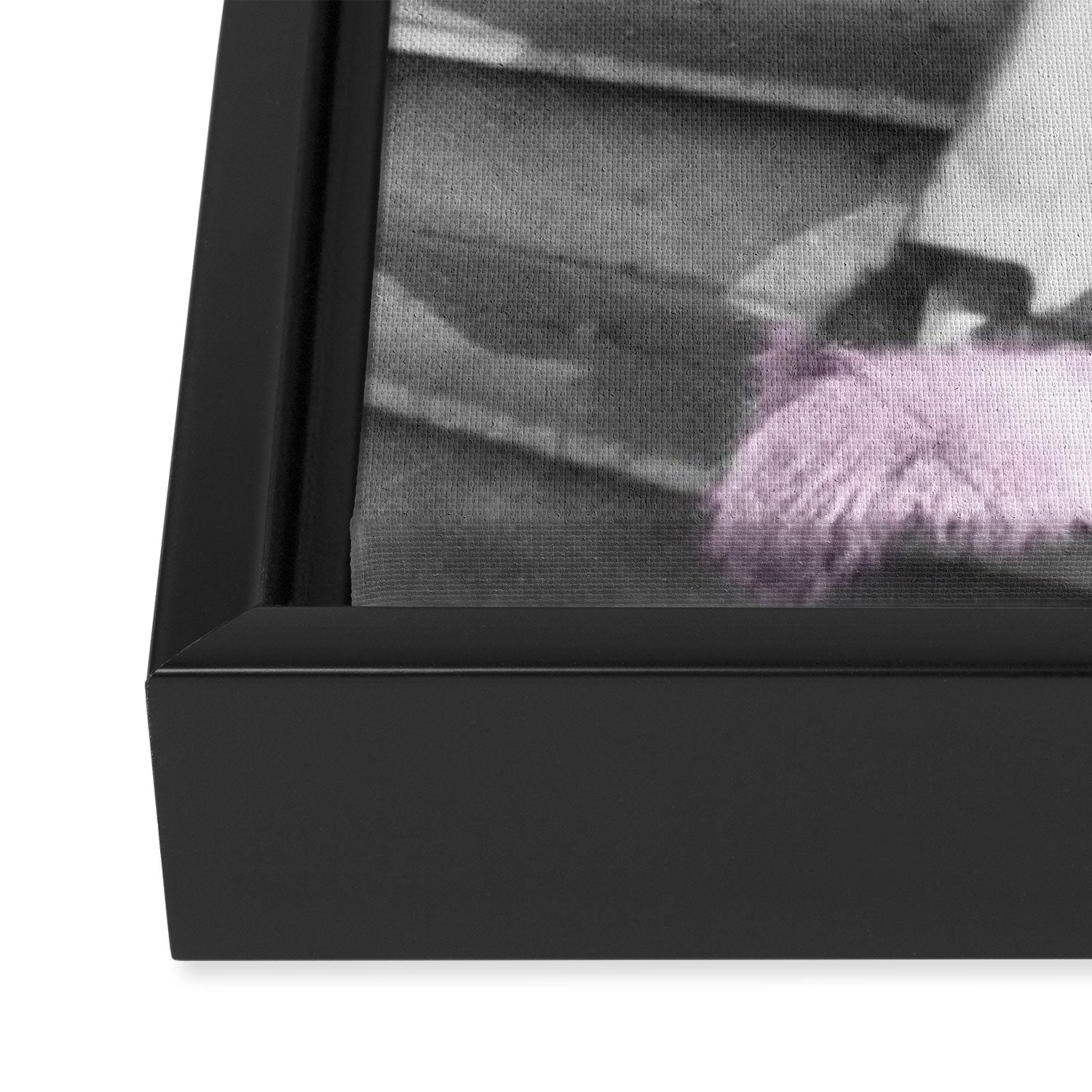 Satirical Einstein in Fuzzy Pink Slippers Classic E = mc² Black and White Satirical Photography  Framed Canvas Print Gallery Image 3