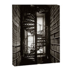 Trinity College, Dublin, Ireland, iron spiral stairs in Library College Long Room black and white photograph Canvas Print Gallery Image 8