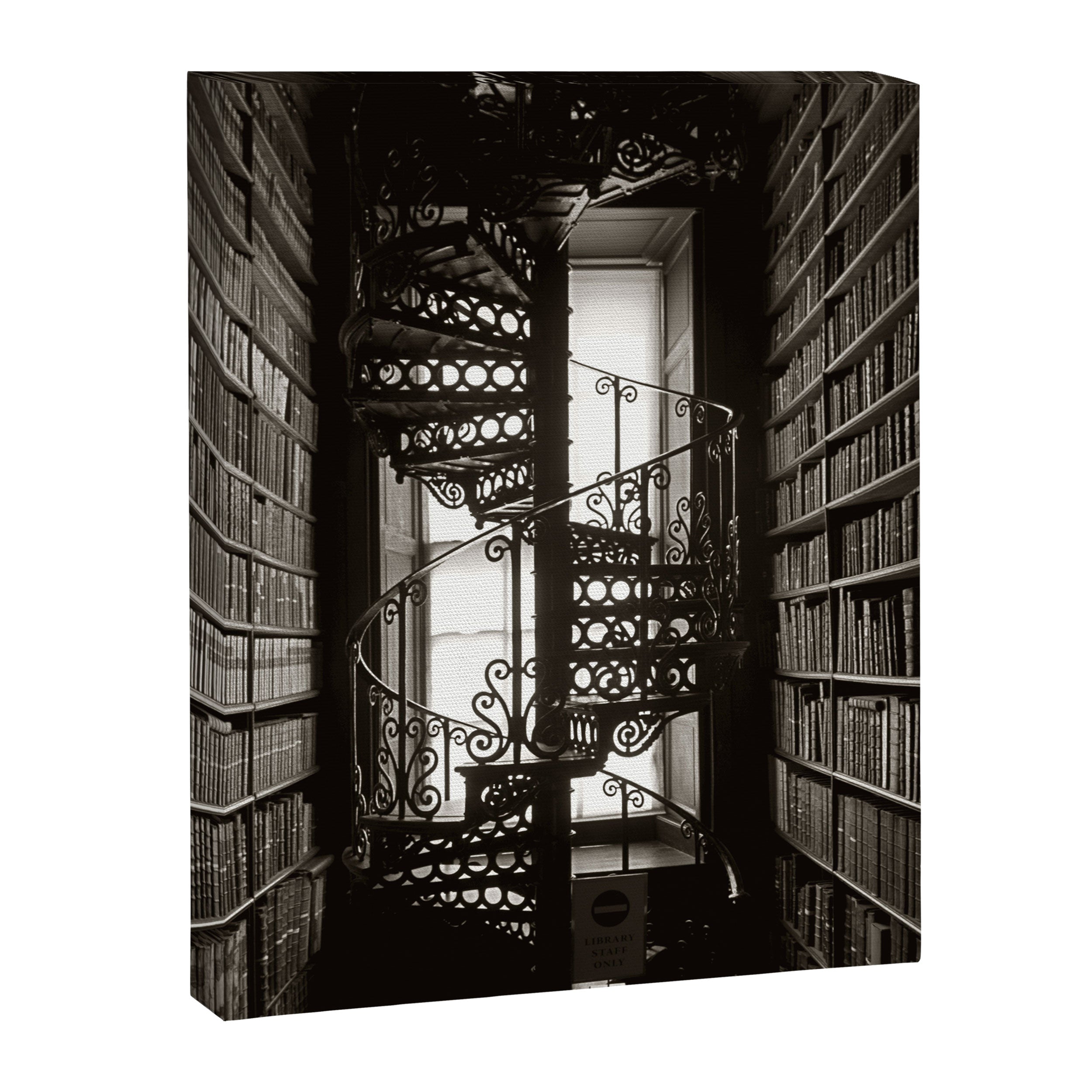 Trinity College, Dublin, Ireland, iron spiral stairs in Library College Long Room black and white photograph Canvas Print Gallery Image 8