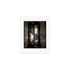 Trinity College, Dublin, Ireland, iron spiral stairs in Library College Long Room black and white photograph Art Print Gallery Image 1