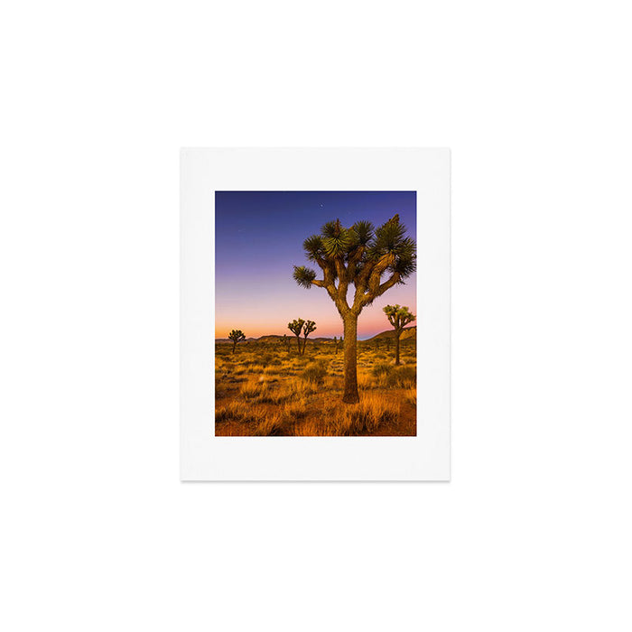 Twilight and half moon at Joshua Tree National Park, California Desert color photographic art print Art Print Gallery Image 1