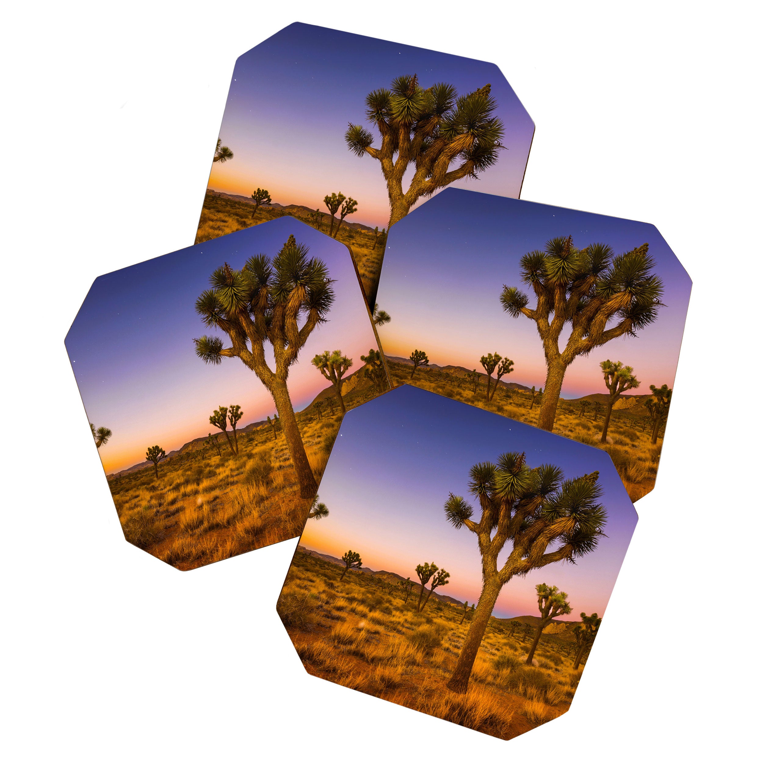 Twilight and half moon at Joshua Tree National Park, California Desert color photographic art print Coaster Gallery Image 1