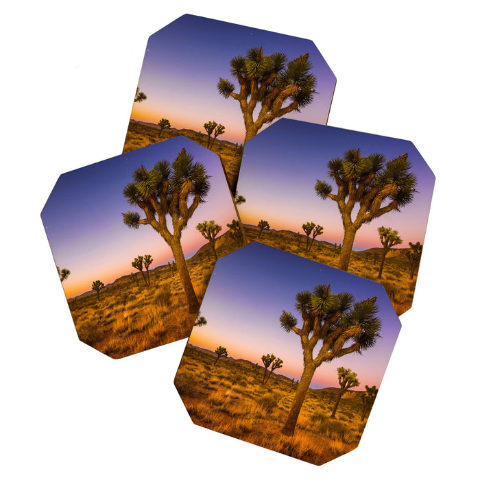 Twilight and half moon at Joshua Tree National Park, California Desert color photographic art print Coaster Gallery Image 1