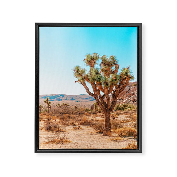 Joshua Tree Framed Canvas Print Gallery Image 1
