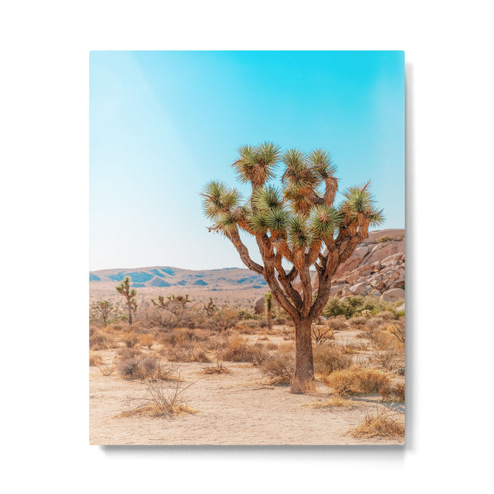 Joshua Tree Metal Print Gallery Image 1