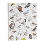 Birds of the Pacific Northwest Canvas Print Gallery Image 6