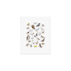 Birds of the Pacific Northwest Art Print Gallery Image 1
