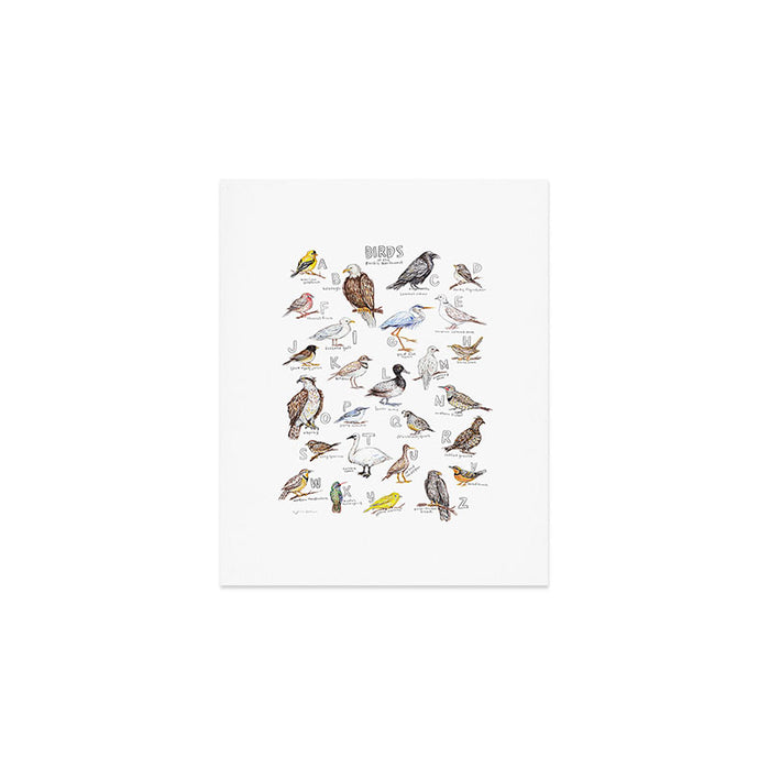 Birds of the Pacific Northwest Art Print Gallery Image 1