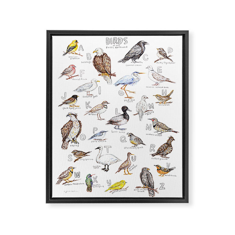 Birds of the Pacific Northwest Framed Canvas Print Gallery Image 6