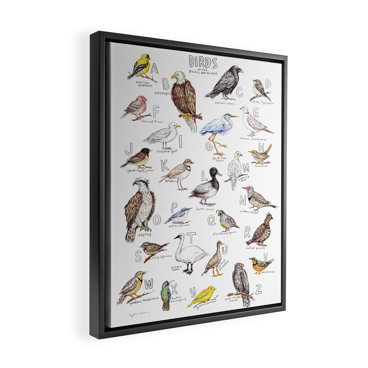 Birds of the Pacific Northwest Framed Canvas Print Gallery Image 2