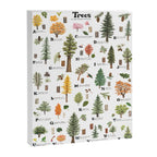 Trees of the Pacific Northwest Canvas Print Gallery Image 6
