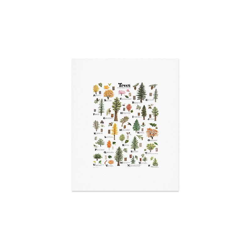 Trees of the Pacific Northwest Art Print Gallery Image 1