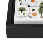 Trees of the Pacific Northwest Framed Canvas Print Gallery Image 3