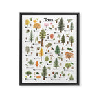 Trees of the Pacific Northwest Framed Canvas Print Gallery Image 6
