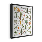 Trees of the Pacific Northwest Framed Canvas Print Gallery Image 2