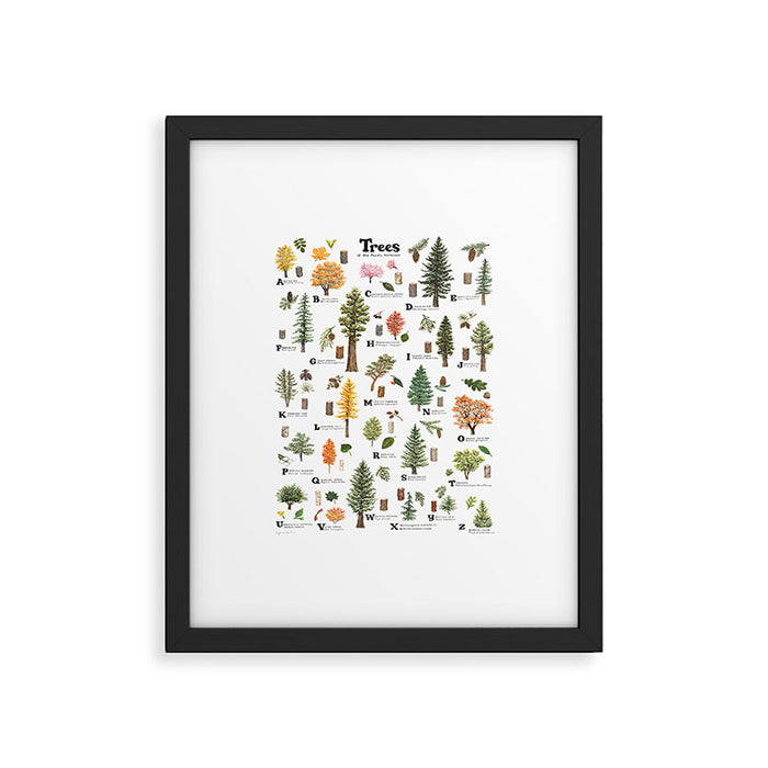 Trees of the Pacific Northwest Framed Art Print Gallery Image 1
