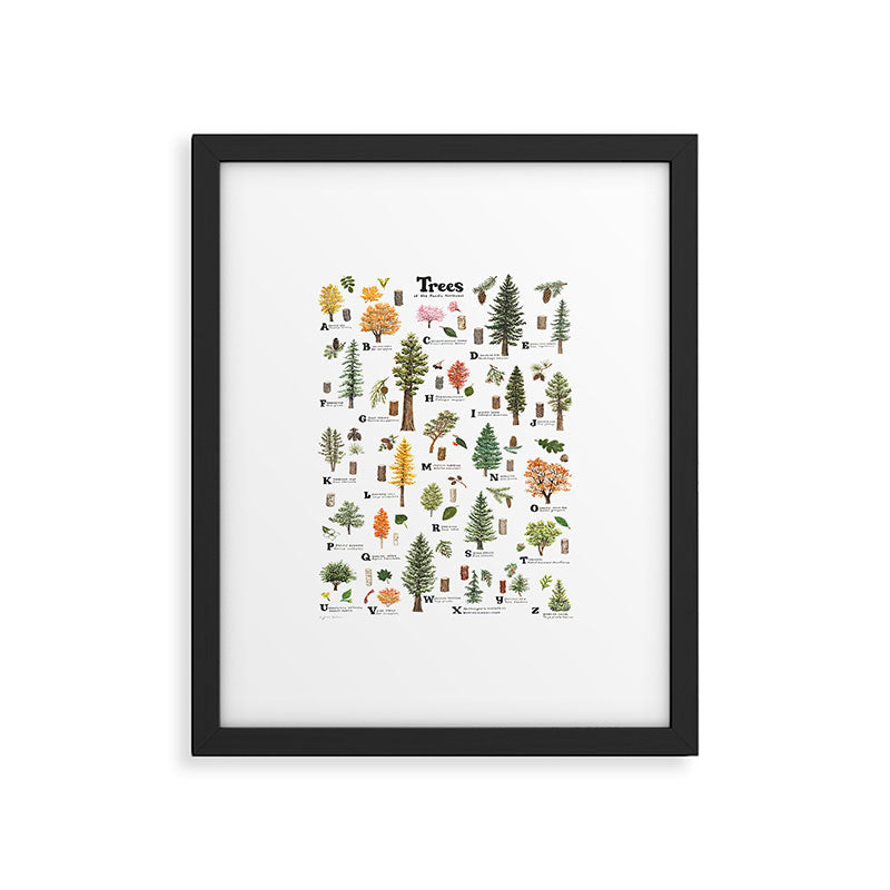 Trees of the Pacific Northwest Framed Art Print Gallery Image 5