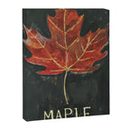 Fall Red Maple Leaf Black Background Canvas Print Gallery Image 8