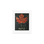 Fall Red Maple Leaf Black Background Art Print Gallery Image 1