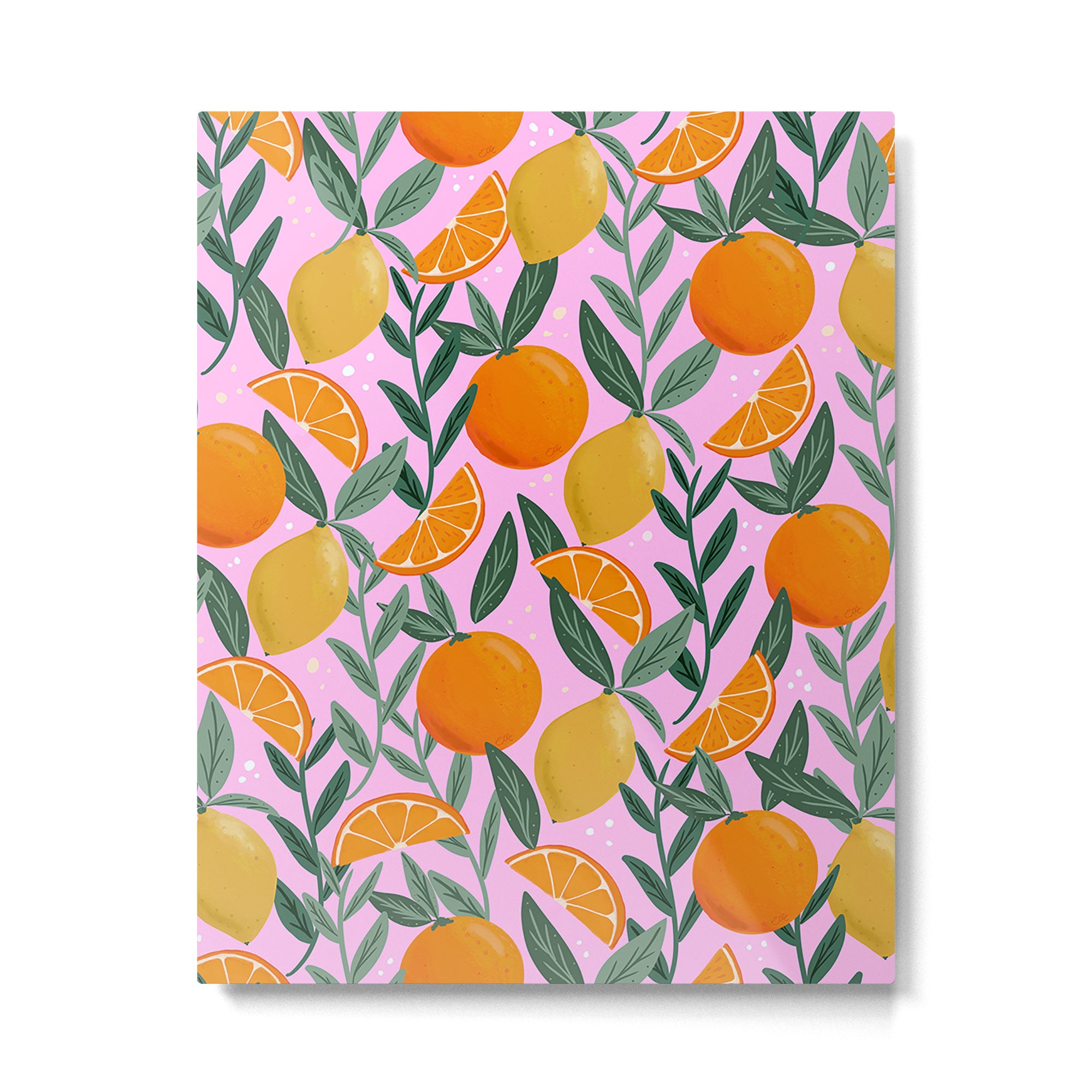Mediterranean Citrus Fruit, Pink  Metal Print Gallery Image 6