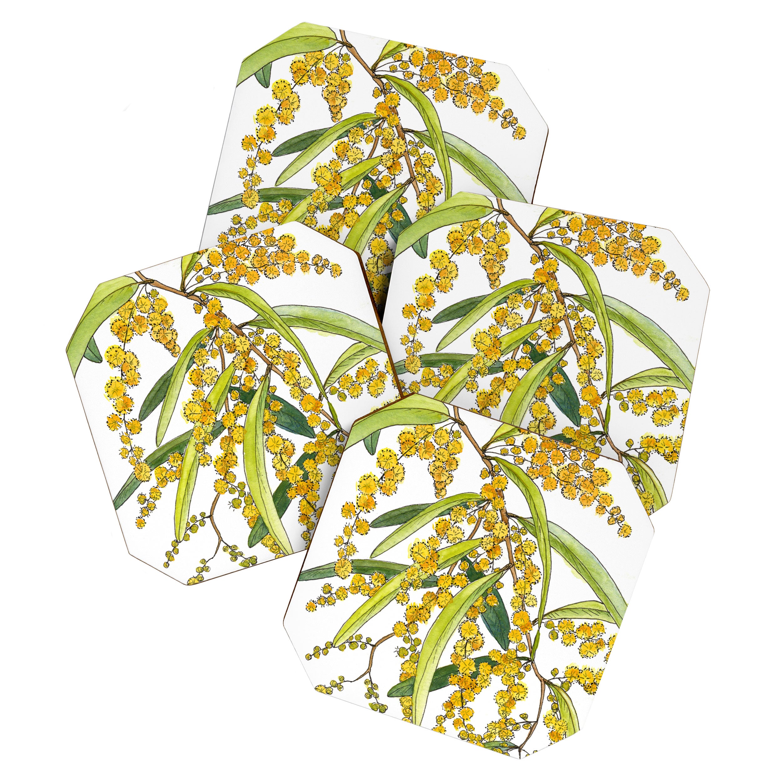 Australian Wattle Flower, Illustration Coaster Gallery Image 1