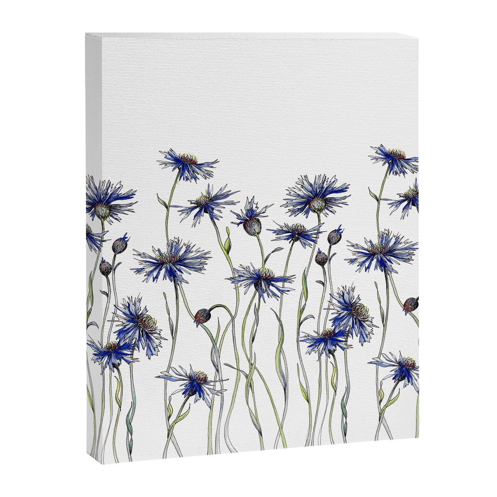 Blue Cornflowers, Illustration Canvas Print Gallery Image 6