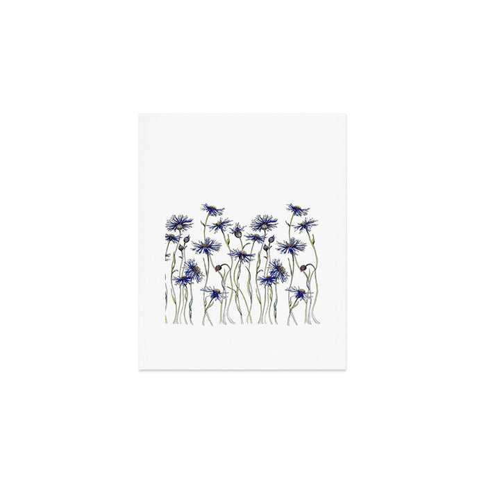 Blue Cornflowers, Illustration Art Print Gallery Image 1