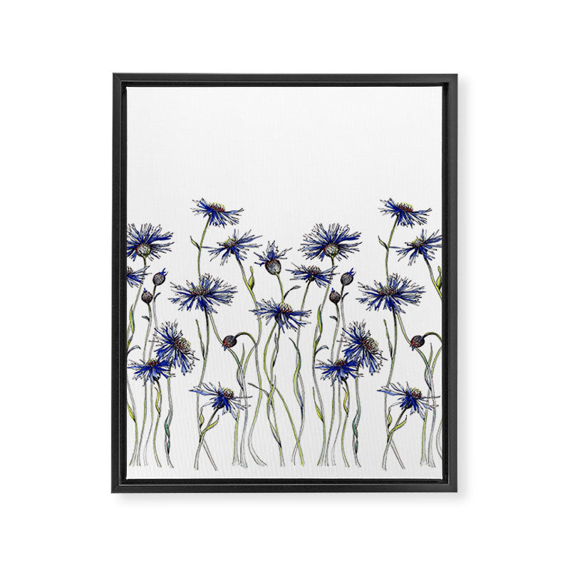 Blue Cornflowers, Illustration Framed Canvas Print Gallery Image 6