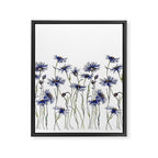 Blue Cornflowers, Illustration Framed Canvas Print Gallery Image 6
