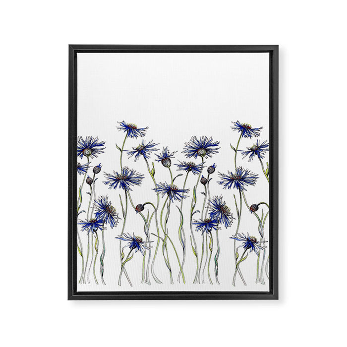 Blue Cornflowers, Illustration Framed Canvas Print Gallery Image 1