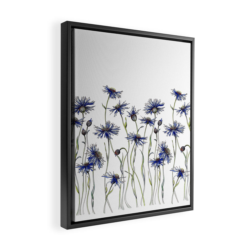 Blue Cornflowers, Illustration Framed Canvas Print Gallery Image 2