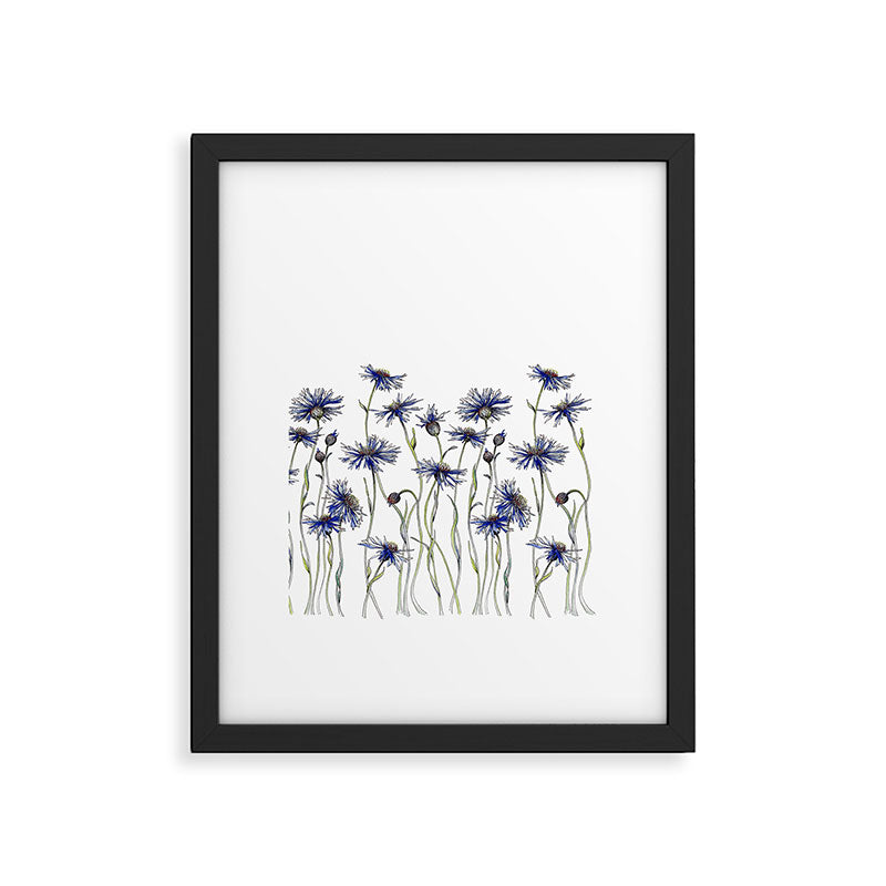 Blue Cornflowers, Illustration Framed Art Print Gallery Image 5