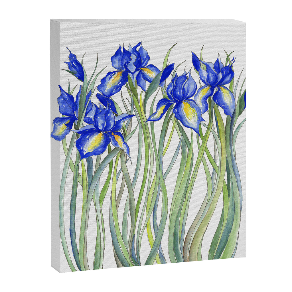 Blue Iris, Illustration Canvas Print Gallery Image 6