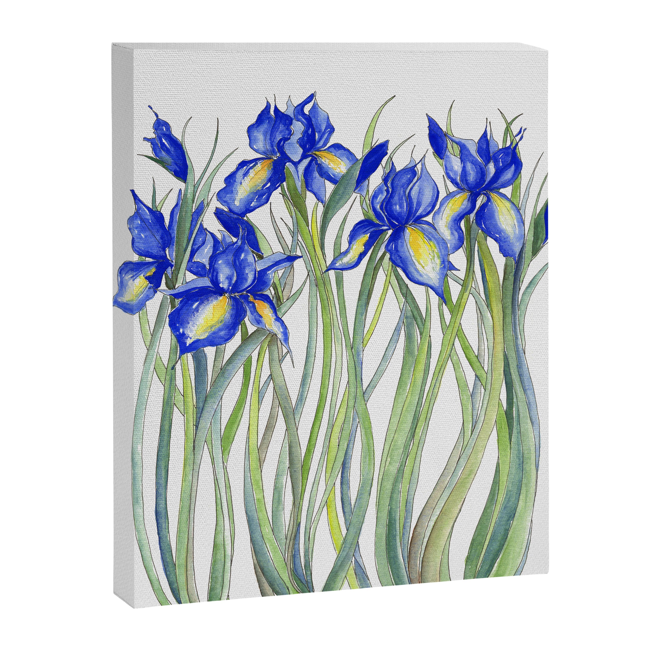 Blue Iris, Illustration Canvas Print Gallery Image 6