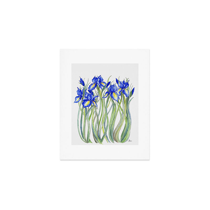 Blue Iris, Illustration Art Print Gallery Image 1