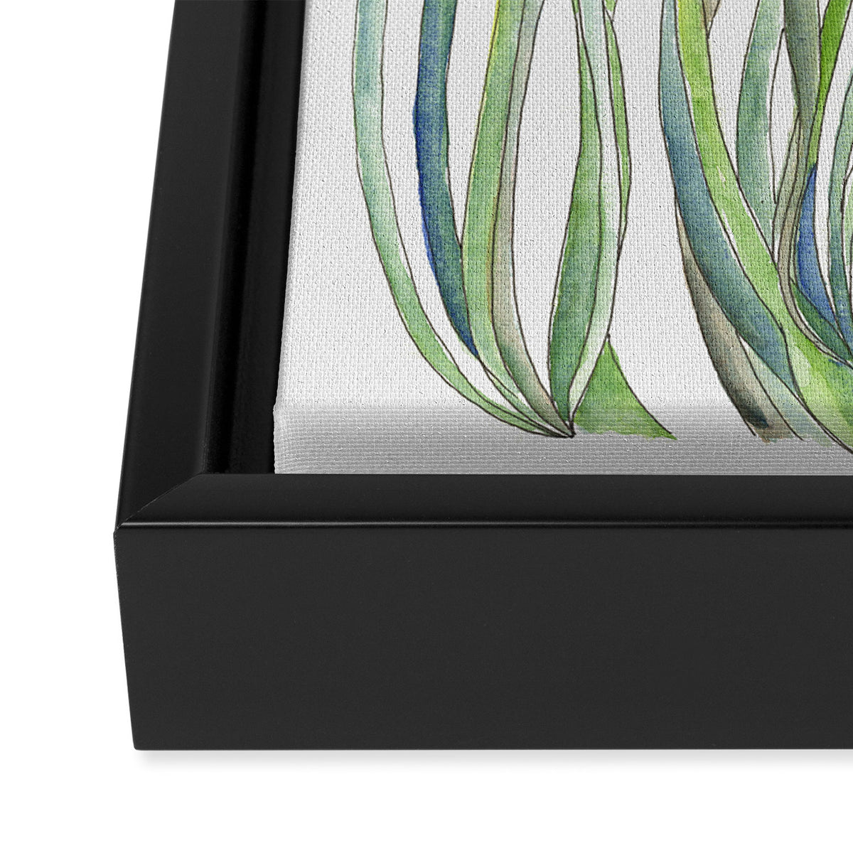 Blue Iris, Illustration Framed Canvas Print Gallery Image 3