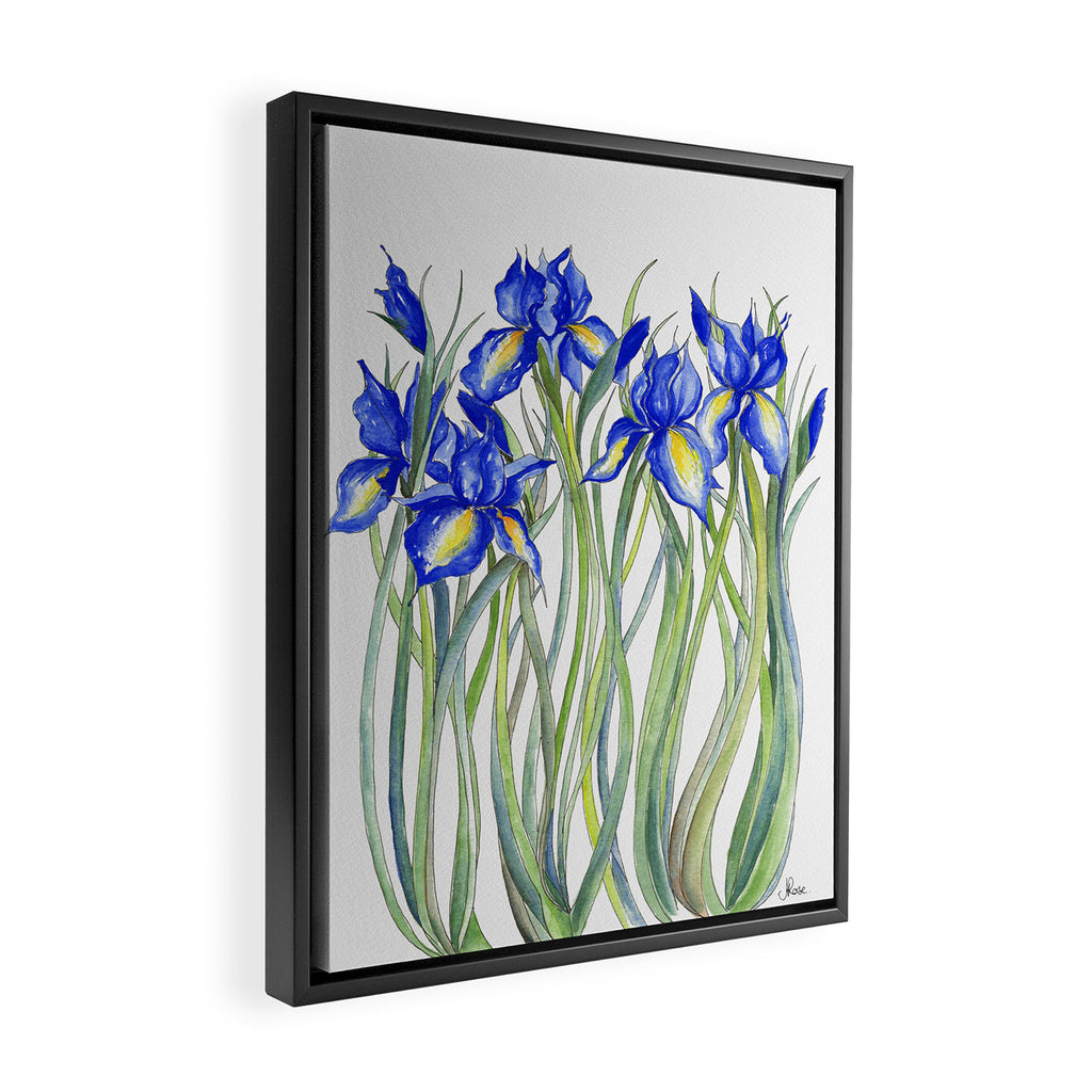 Blue Iris, Illustration Framed Canvas Print Gallery Image 2