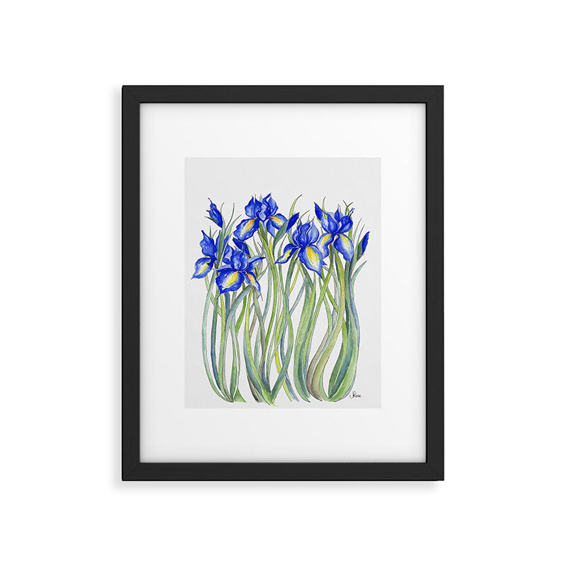 Blue Iris, Illustration Framed Art Print Gallery Image 5