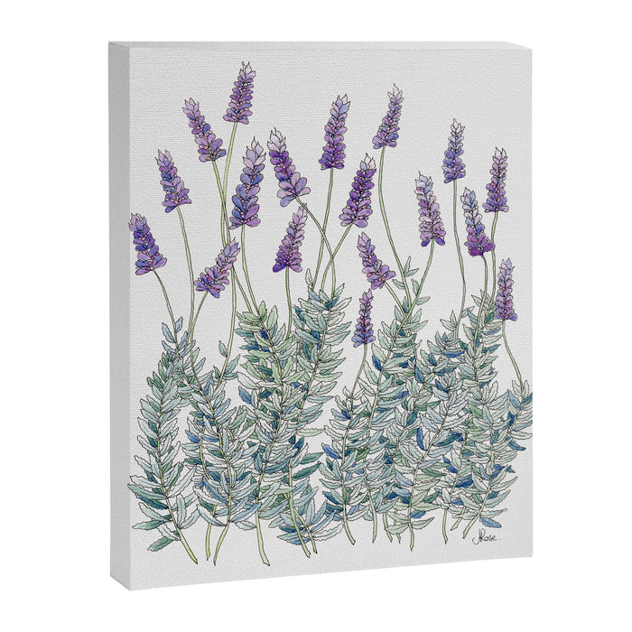 Lavender, Illustration Canvas Print Gallery Image 1