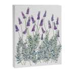 Lavender, Illustration Canvas Print Gallery Image 6
