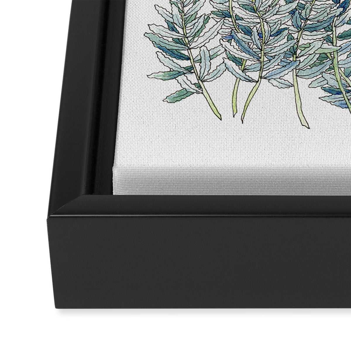 Lavender, Illustration Framed Canvas Print Gallery Image 3