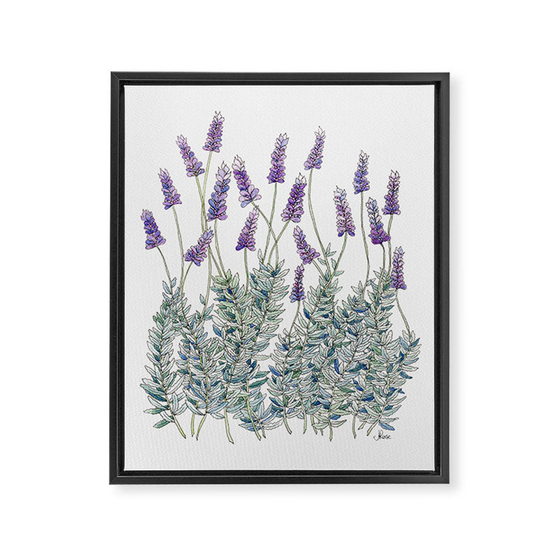 Lavender, Illustration Framed Canvas Print Gallery Image 6