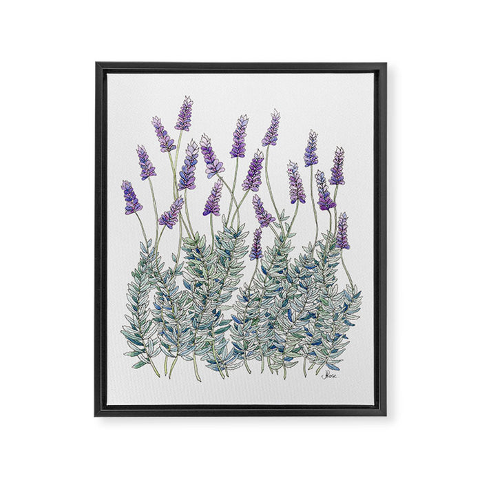 Lavender, Illustration Framed Canvas Print Gallery Image 1