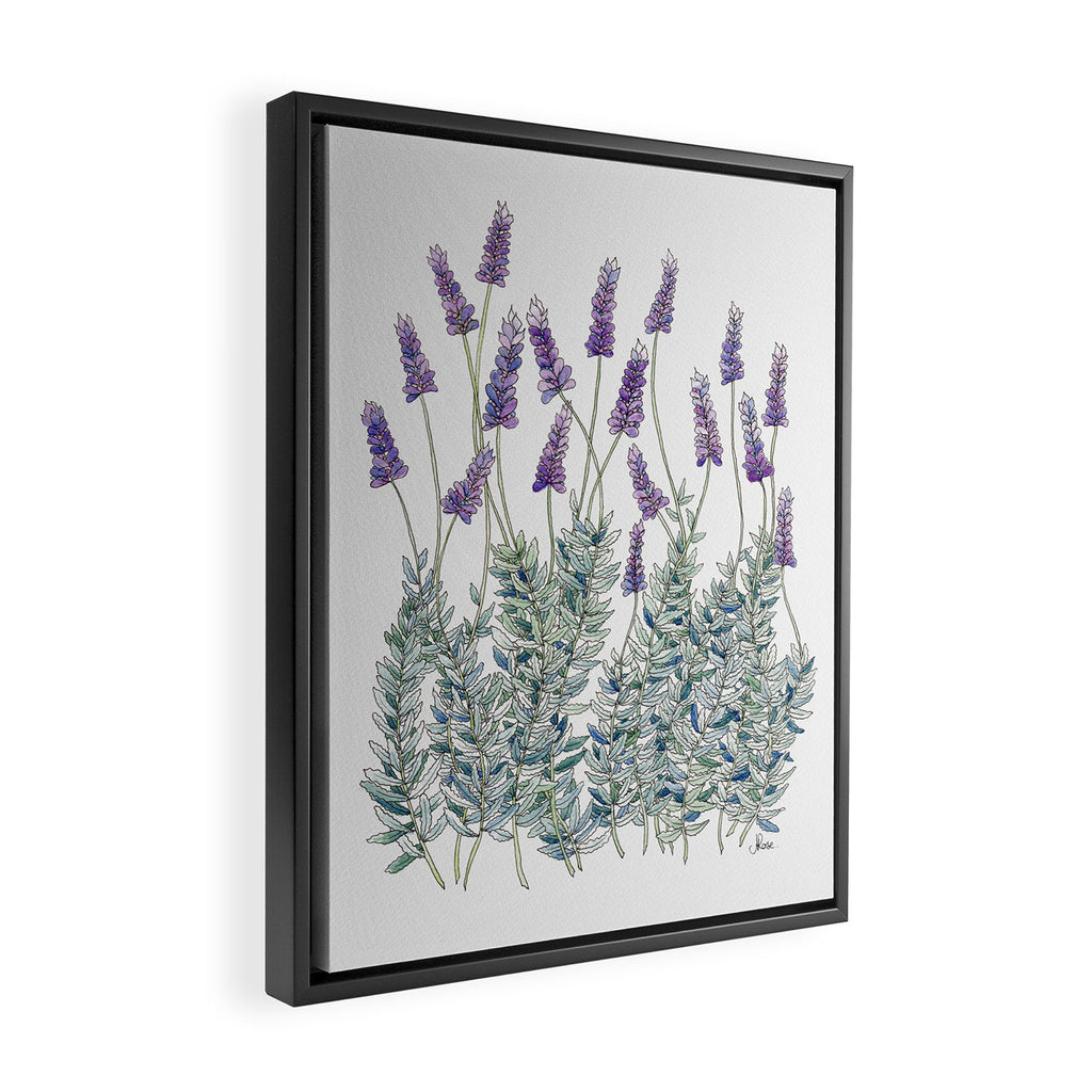Lavender, Illustration Framed Canvas Print Gallery Image 2
